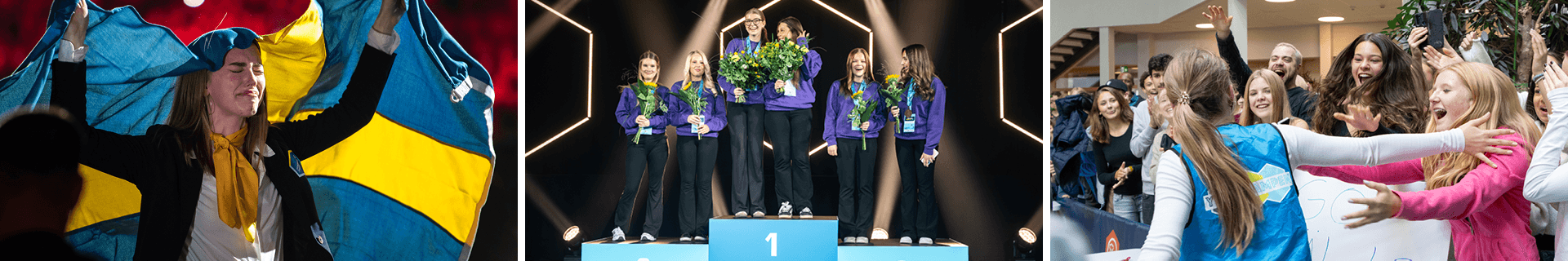 WorldSkills Sweden